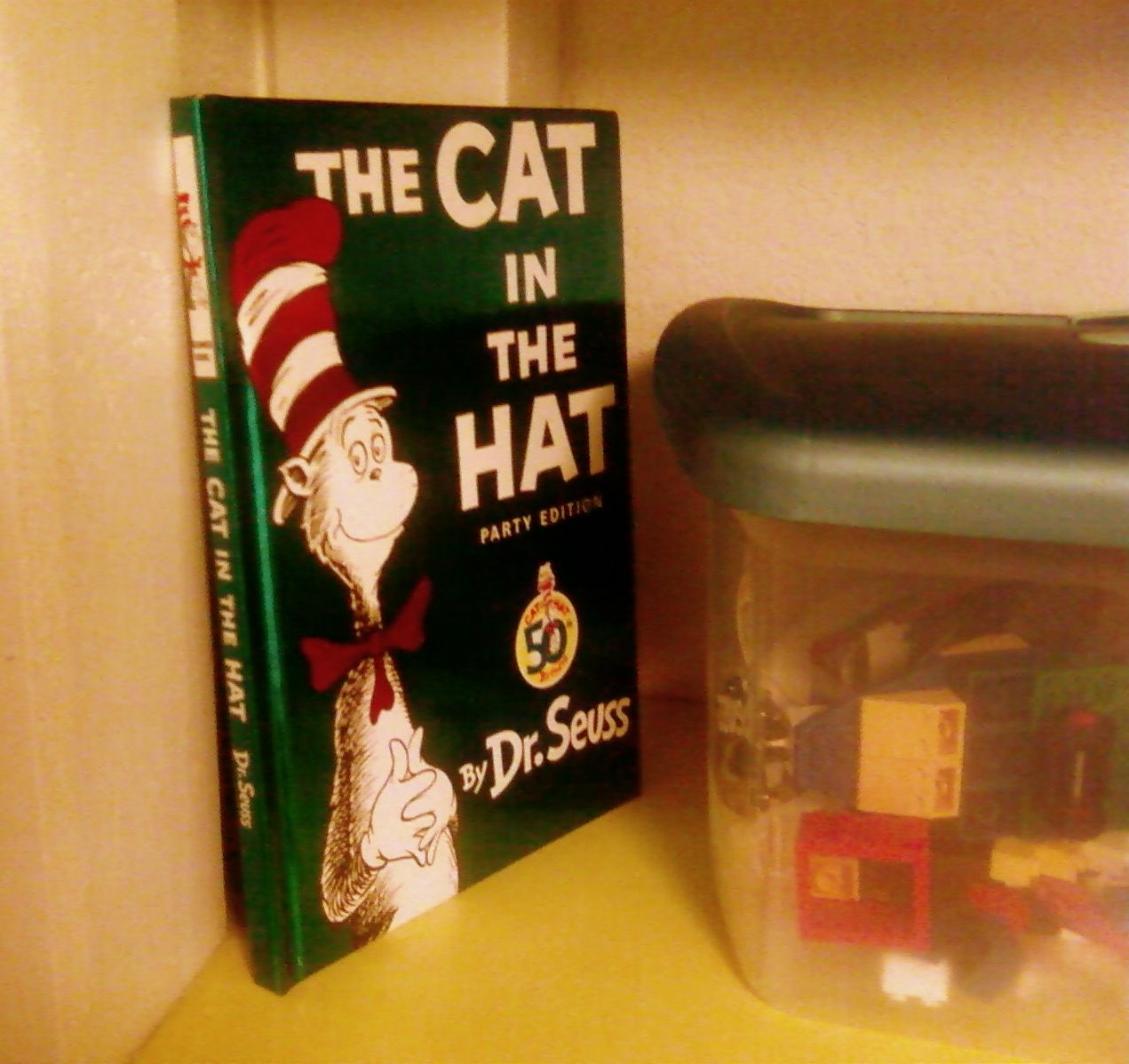 Cat in the Hat Surprise